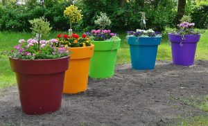 Contenants pour les plantes 